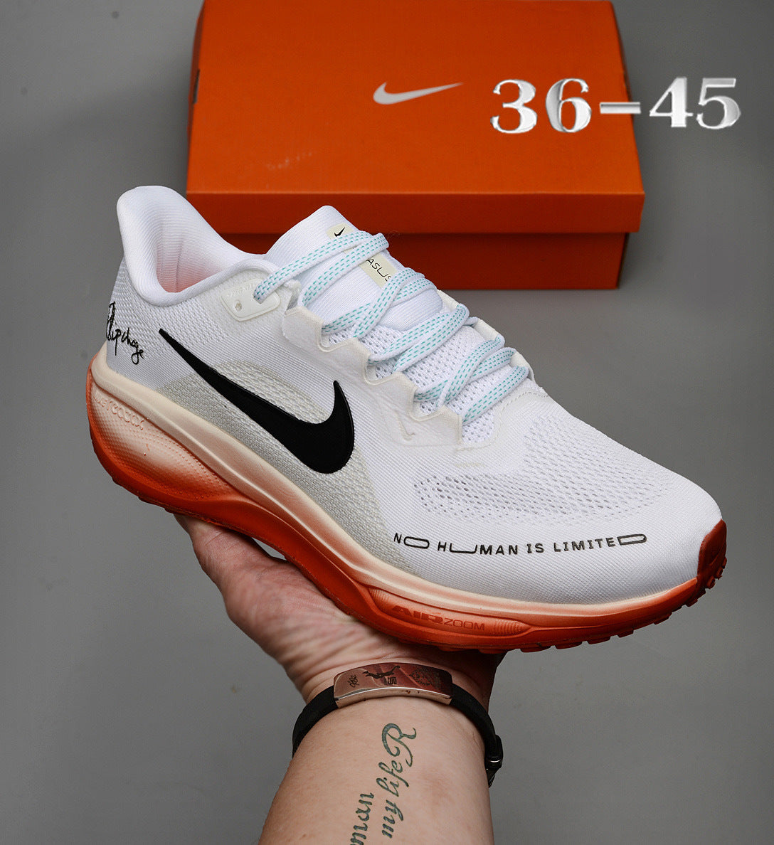 Air Zoom Pegasus 41