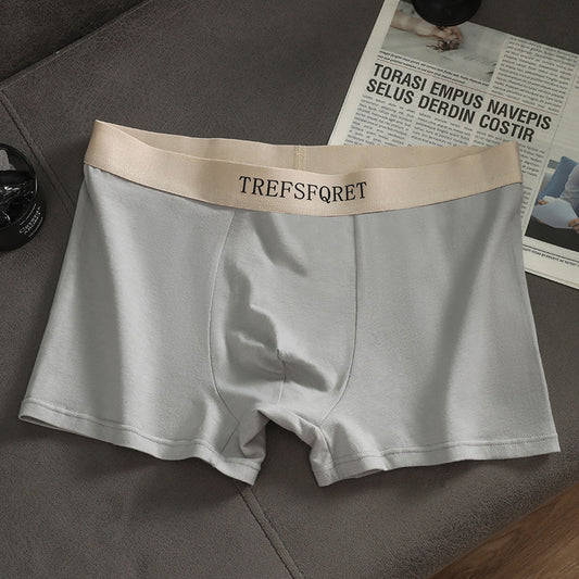 Boxer 60S: Purezza Antibatterica 2026