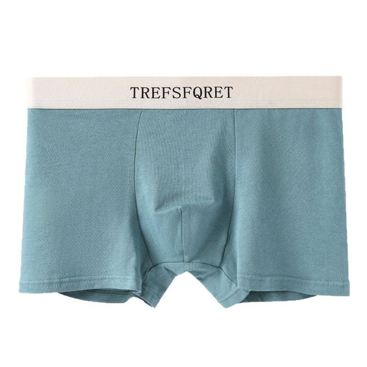 Boxer 60S: Purezza Antibatterica 2026