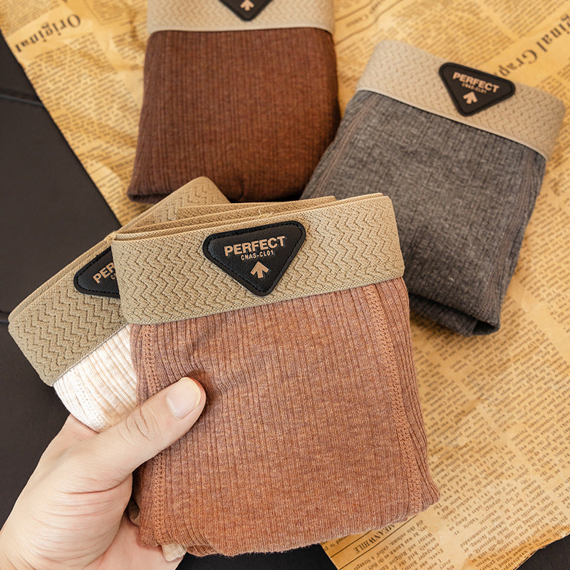 Boxer High-End: Comfort Assoluto 2026