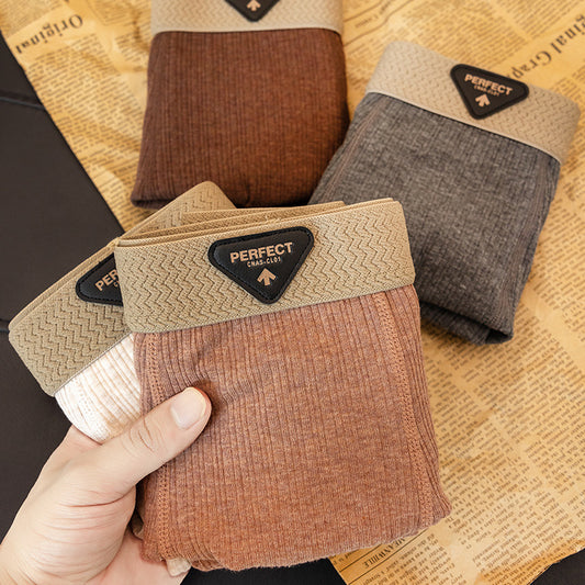 Boxer High-End: Comfort Assoluto 2026