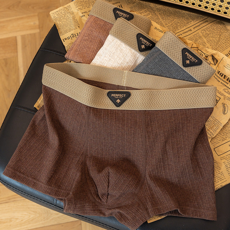 Boxer High-End: Comfort Assoluto 2026