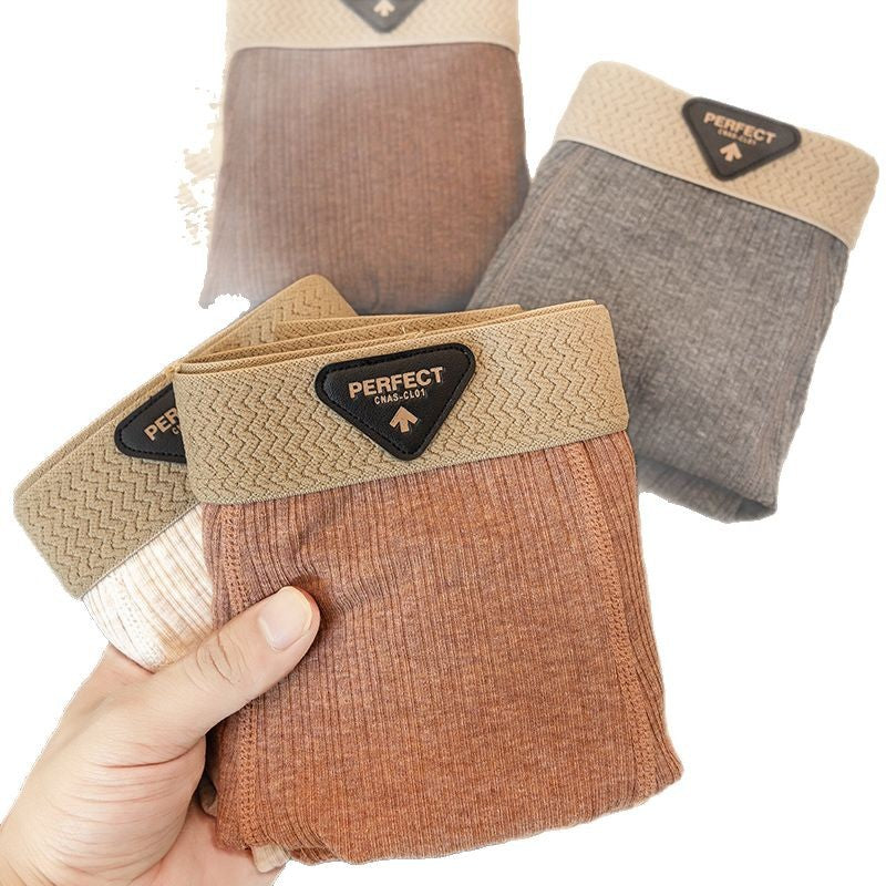 Boxer High-End: Comfort Assoluto 2026