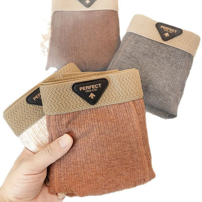 Boxer High-End: Comfort Assoluto 2026