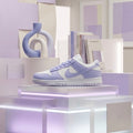 Dunk Sb