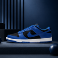 Dunk Sb