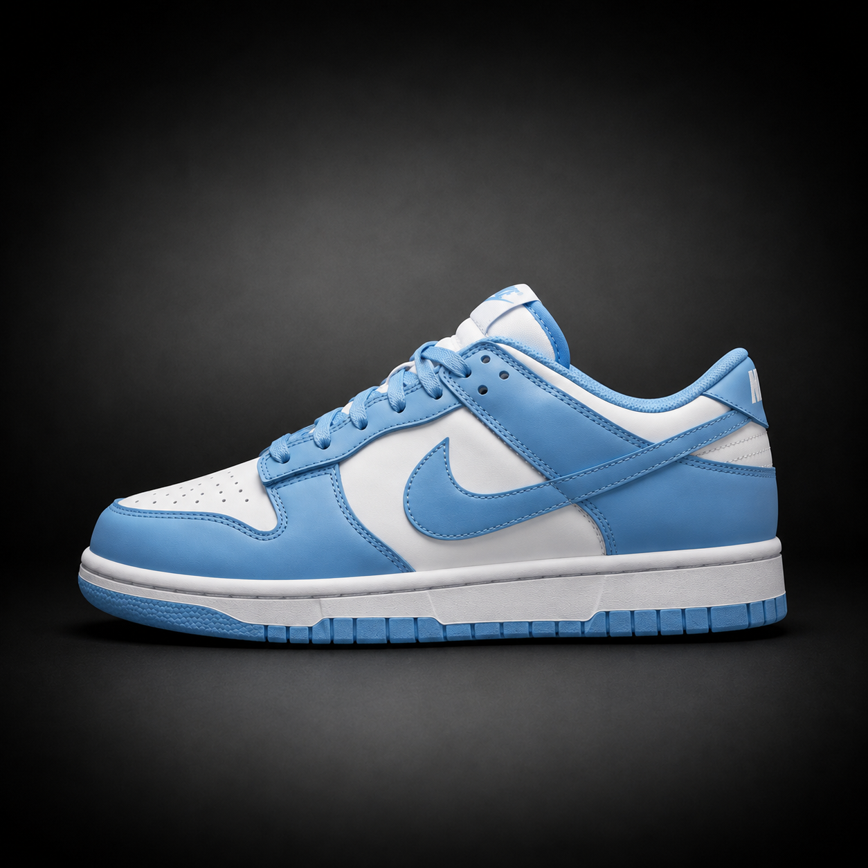 Dunk Sb