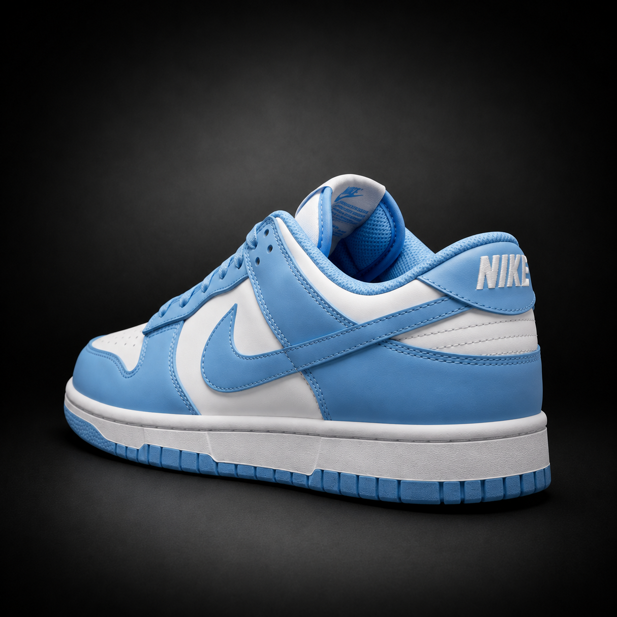 Dunk Sb