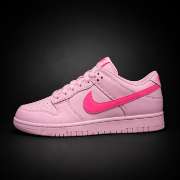 Dunk Sb