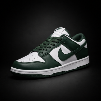Dunk Sb
