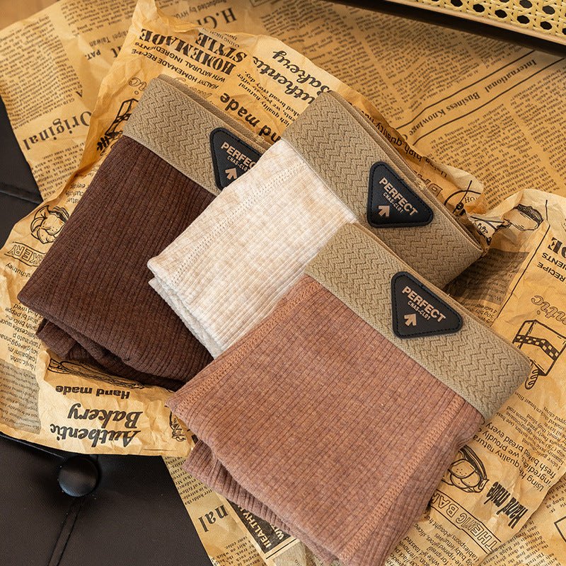 Boxer High-End: Comfort Assoluto 2026