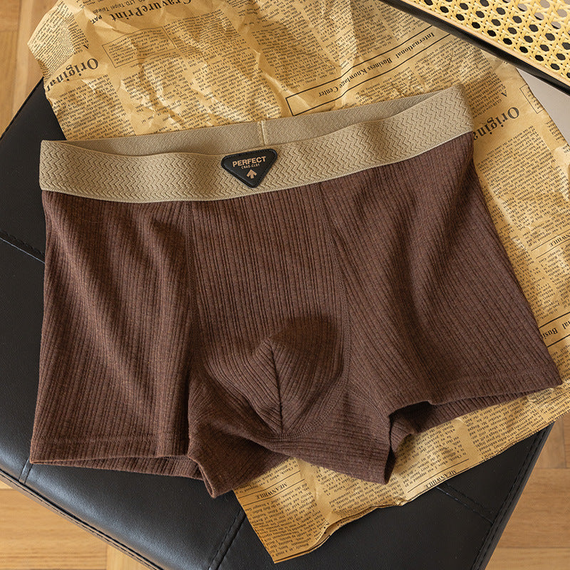 Boxer High-End: Comfort Assoluto 2026