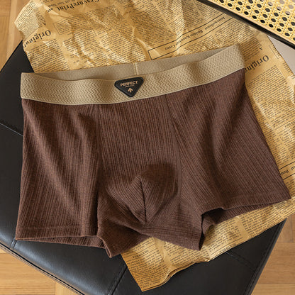 Boxer High-End: Comfort Assoluto 2026