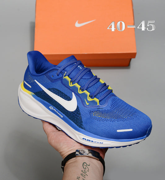 Air Zoom Pegasus 41