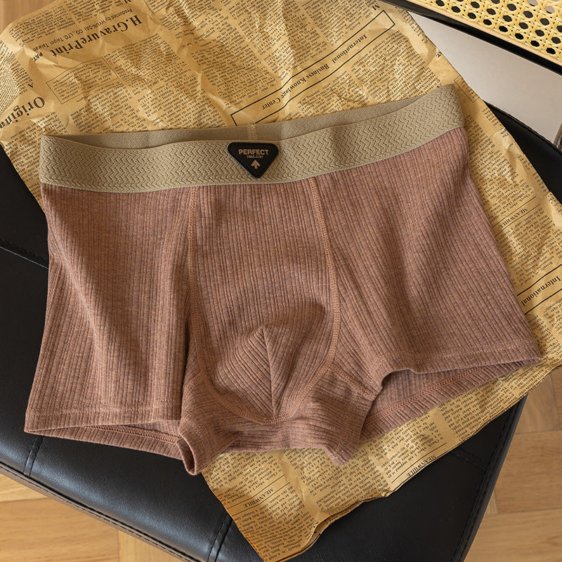 Boxer High-End: Comfort Assoluto 2026